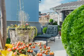 Garden Sky - Image 4
