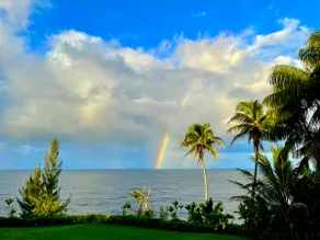 Grand Oceanfront Gated Estate on the Hamakua Coast - Image 3