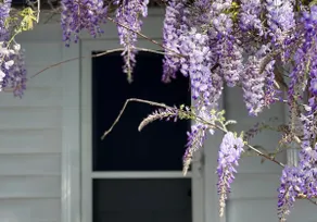 Gorgeous Getaway in Gerringong - Image 5