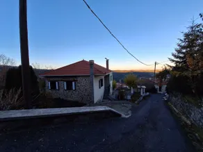 PARADISE - Image 2