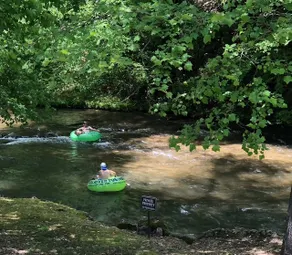 River life, Helen ga - Image 5