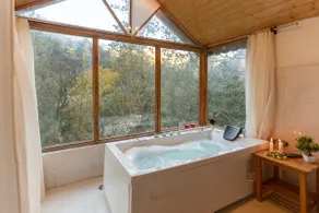 Jacuzzi Cabin on Riverbank near Shangarh - Image 4