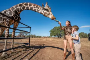 Brand New Luxury Wildlife Safari Ranch - Image 2