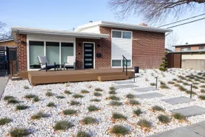 Sonata Rose, Mid-Century Dream - Image 2
