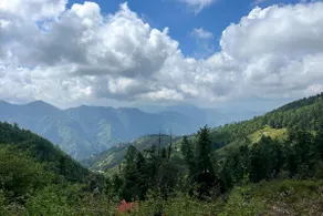 3 BR Valley View & Lawn- Under the Pines- Shimla - Image 2