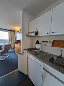 Apartment with direct access to slopes in Piau, Gentiane 1 - Image 4