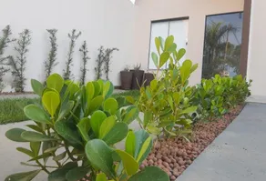 Loft Lavanda in Pedra Menina-ES - Image 2