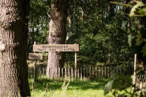 Gekraagde Roodstaart | Bungalow with green garden - Image 5