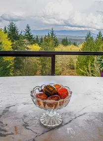 Gorgeous View: Grand Log Home - Image 5