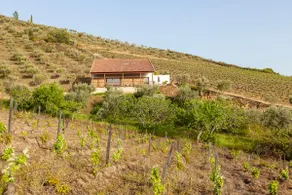 House of Rabbits | Country House & Landscape - Image 2