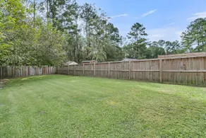 Palmetto Oasis - Image 3
