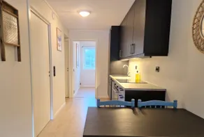Vrådal Slopeside Apartment - Image 5