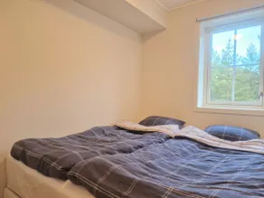 Vrådal Slopeside Apartment - Image 3