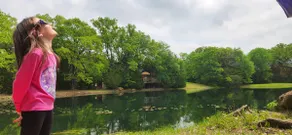Hummingbird Tree House - Image 5