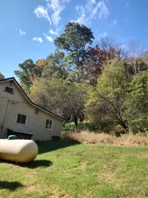 Woodland Retreat - Image 3