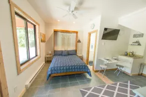 Studio 203: Amazing Mtn Views - Image 4