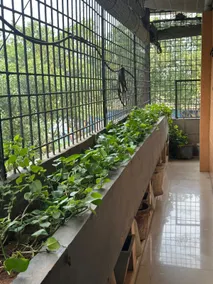 Talupula oceanic view apartments - Image 2