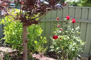 Little Gem City Cottage - Image 4