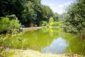 Cabane de l'Etang - Nordic Bath in St LOUIS - Image 4