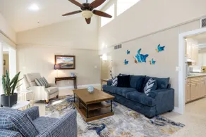 Paradise Found on Siesta Key! - Image 4
