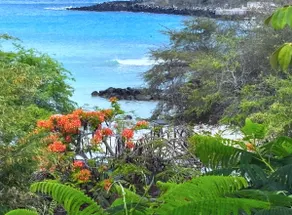 Suite Tierra, Reconnect with your roots - Image 2
