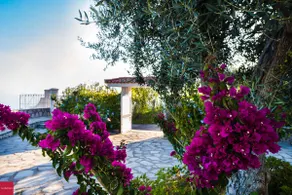Il Nibbio, 10 km from Positano - Image 2