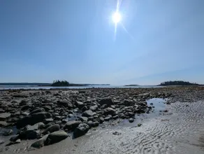 Sandy River Beach Cottage - Image 5