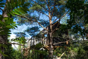 Üügumetsa treehouse and sauna - Image 3