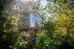 Üügumetsa treehouse and sauna - Image 2