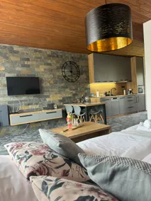 Luxury family apartment - Image 2