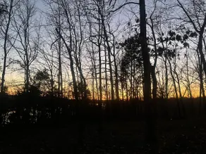 Lakeside Retreat on Lake Barkley - Image 2