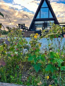 Cabin with a view of the volcano - Image 5