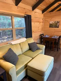New tiny cabin in Mill Spring! - Image 2
