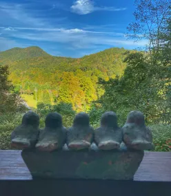 Gorgeous Mountain Views-Hot Tub Weekday Discounts - Image 3