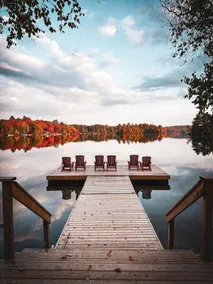 Canoe Cove, Algonquin Woods - Image 3