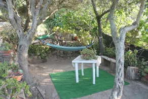 Vacation home in Muntiggioni. Sea, sun, relaxation. - Image 2