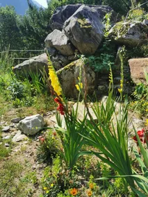 Cuore Verde Apartment - Image 4