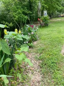 Live Oak BnB - Image 3