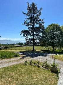 Spacious ground floor apartment near Beaumaris - Image 3