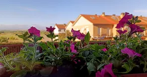 The Castle Rural Accommodation - Image 3