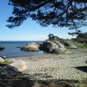 Totally renovated beachfront cabin - Image 4