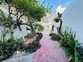 Casa Playa Blanca - Image 5
