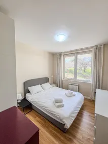 Scandi Suite near Airport/Metro/Expo/workspace - Image 4
