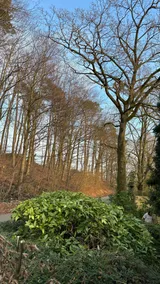 Heaven Homes - Fantastic view of the forest - Image 4