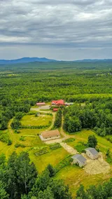 Cozy pet-friendly cabin for 4! - Image 2