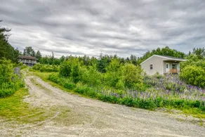 Cozy pet-friendly cabin for 4! - Image 4