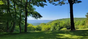 Bear Den Guest House - Image 4