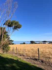 Cabin in Apollo Bay - Image 4