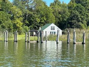 Crab Shack - Image 4