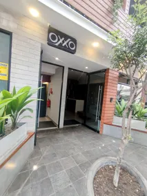 The Best of Miraflores at Your Fingertips - Image 5